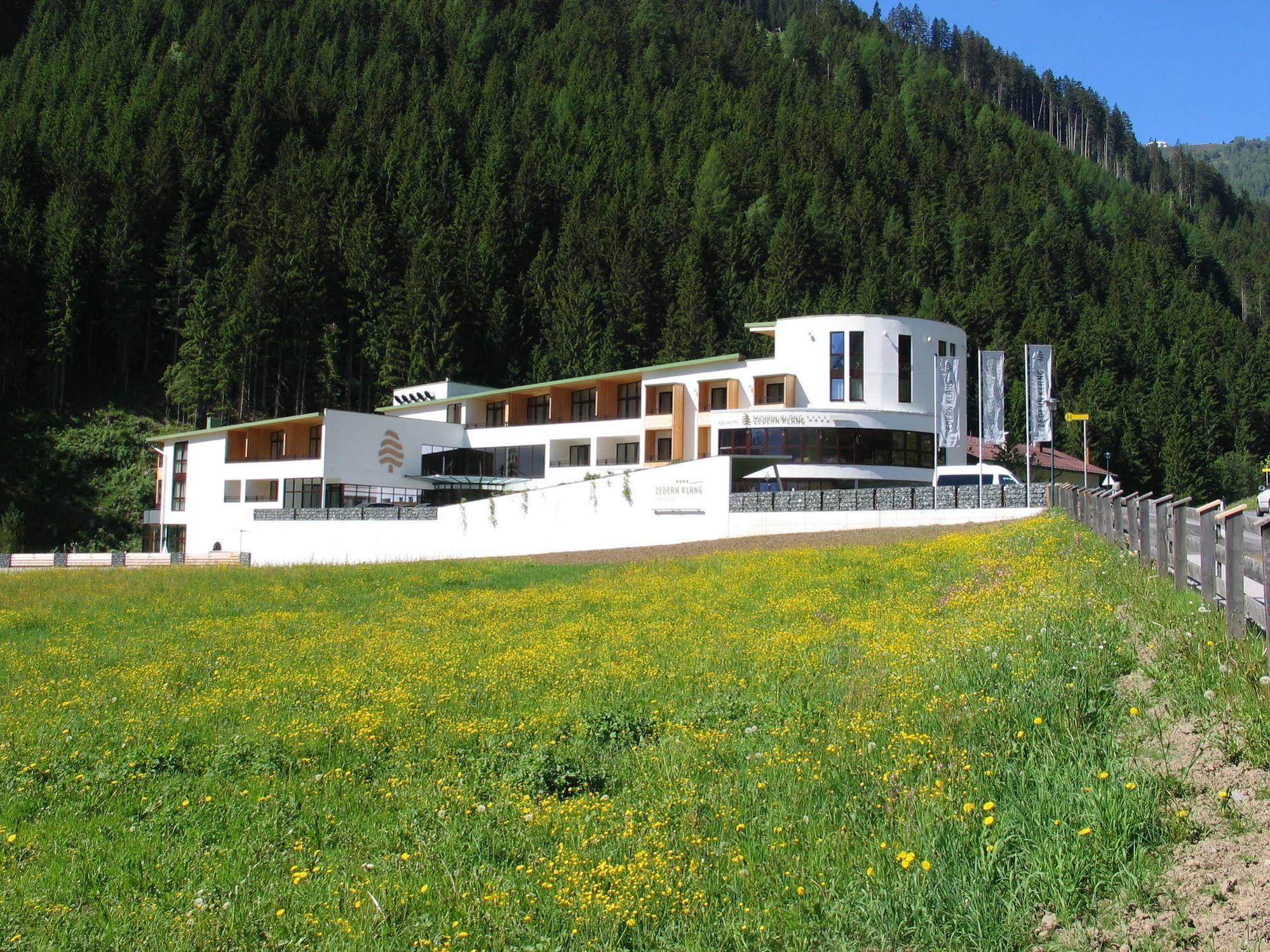 Spa Hotel Zedern Klang Хопфгартен-ин-Деферегген Экстерьер фото